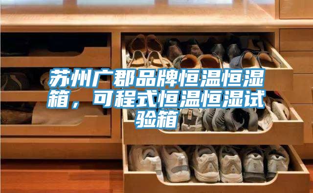 蘇州廣郡品牌恒溫恒濕箱，可程式恒溫恒濕試驗箱