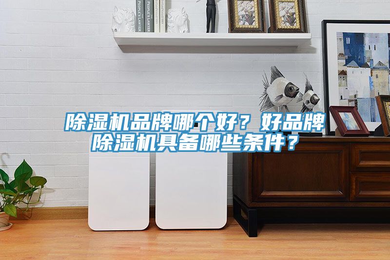 除濕機品牌哪個(gè)好？好品牌除濕機具備哪些條件？