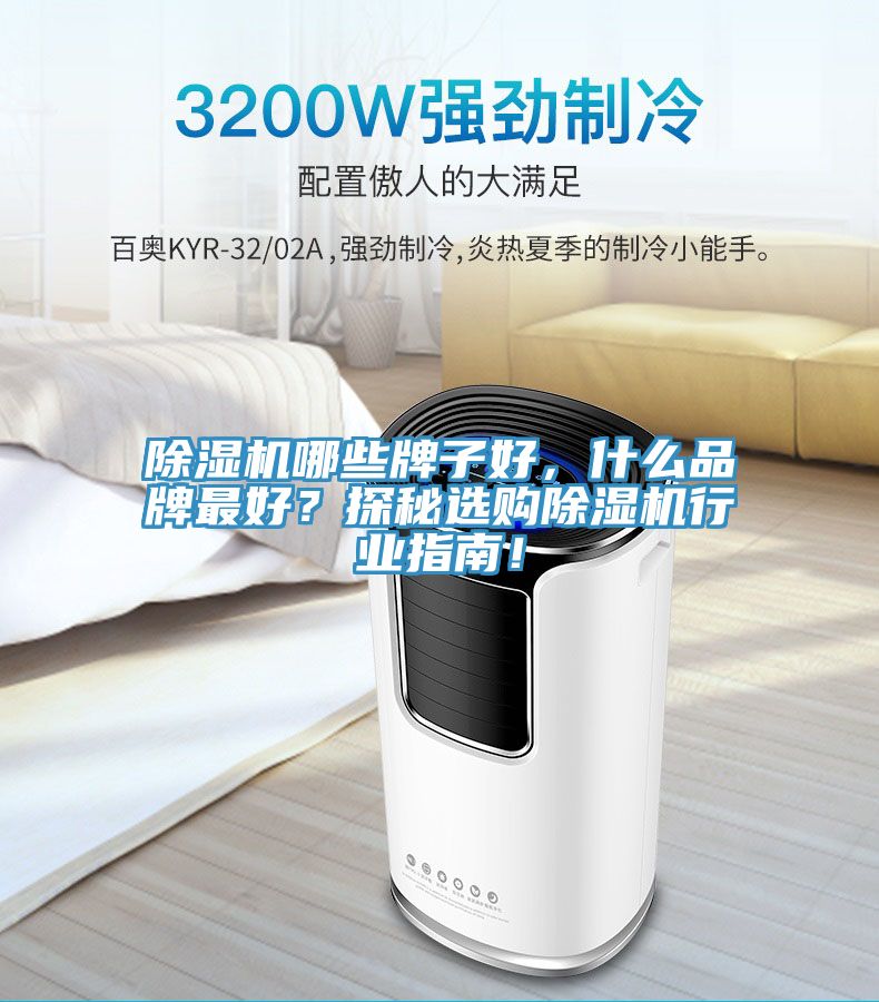 除濕機哪些牌子好，什么品牌最好？探秘選購除濕機行業(yè)指南！
