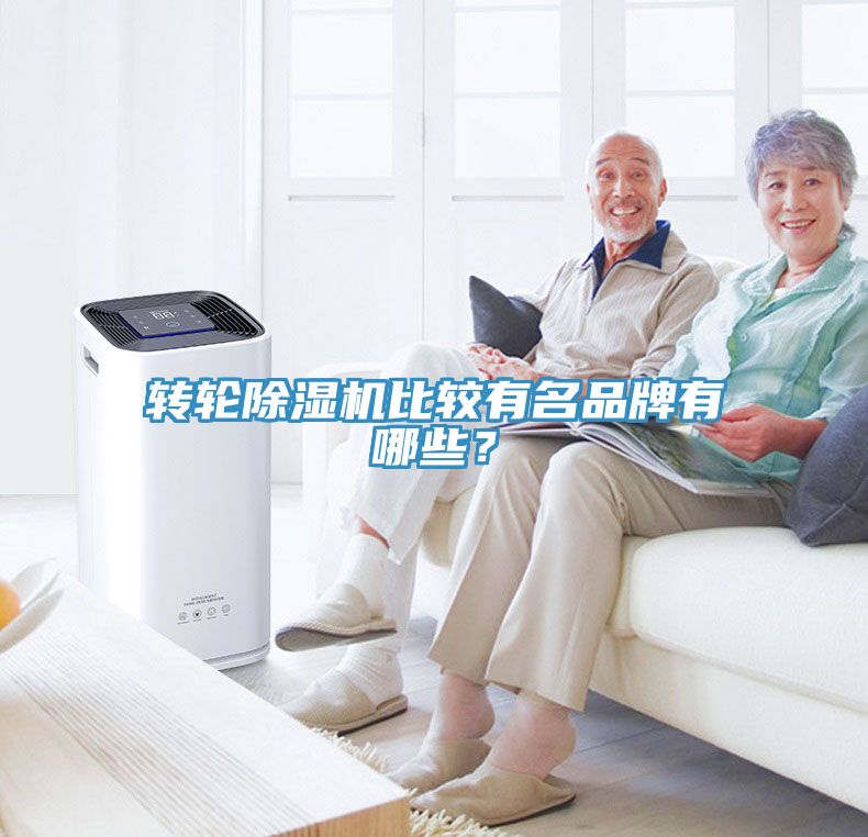 轉輪除濕機比較有名品牌有哪些？
