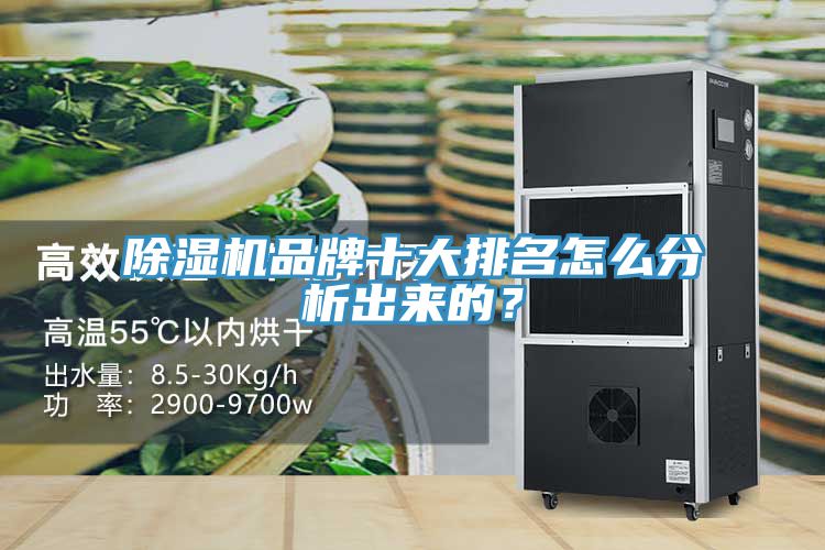 除濕機品牌十大排名怎么分析出來(lái)的？