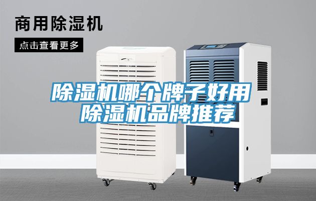 除濕機哪個(gè)牌子好用 除濕機品牌推薦