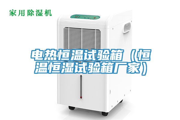 電熱恒溫試驗箱（恒溫恒濕試驗箱廠(chǎng)家）