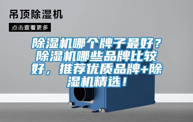 除濕機哪個(gè)牌子最好？除濕機哪些品牌比較好，推薦優(yōu)質(zhì)品牌+除濕機精選！