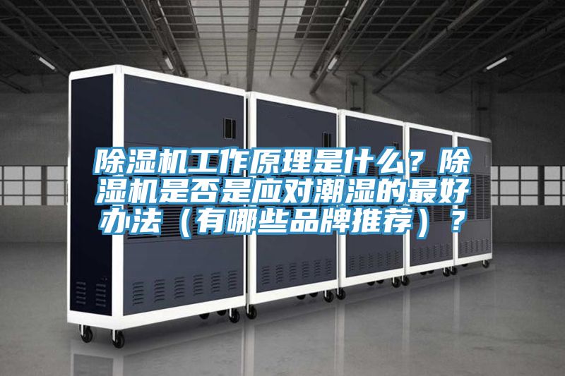 除濕機工作原理是什么？除濕機是否是應對潮濕的最好辦法（有哪些品牌推薦）？