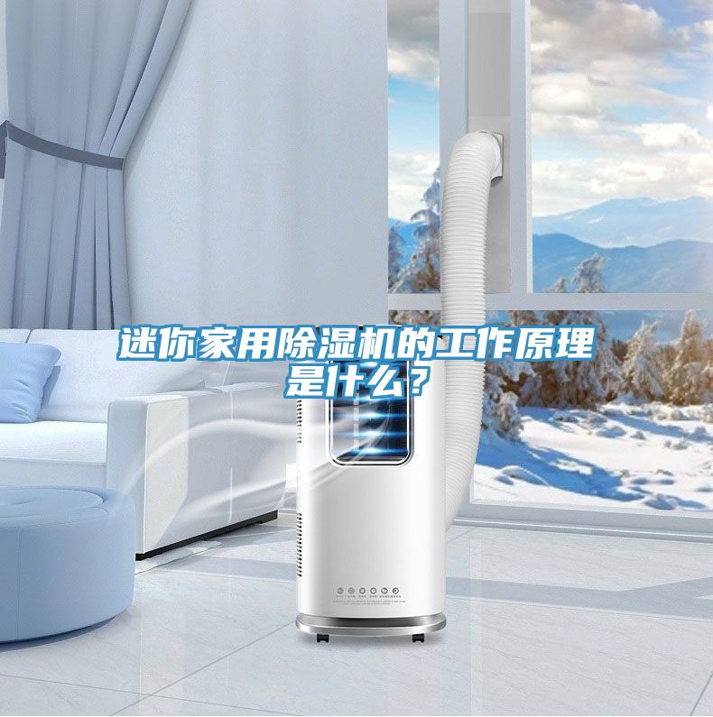 迷你家用除濕機的工作原理是什么？