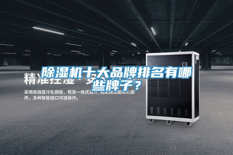 除濕機十大品牌排名有哪些牌子？