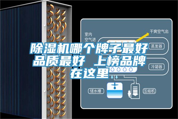 除濕機哪個(gè)牌子最好品質(zhì)最好 上榜品牌在這里