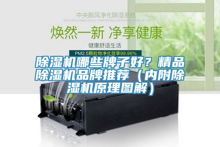 除濕機哪些牌子好？精品除濕機品牌推薦（內附除濕機原理圖解）