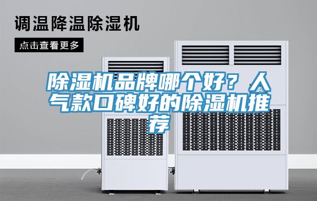 除濕機品牌哪個(gè)好？人氣款口碑好的除濕機推薦