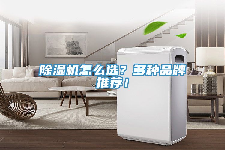 除濕機怎么選？多種品牌推薦！