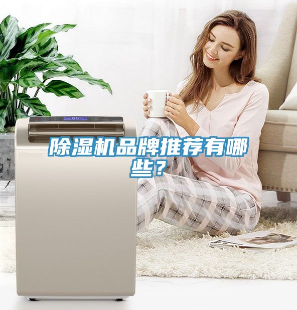 除濕機品牌推薦有哪些？