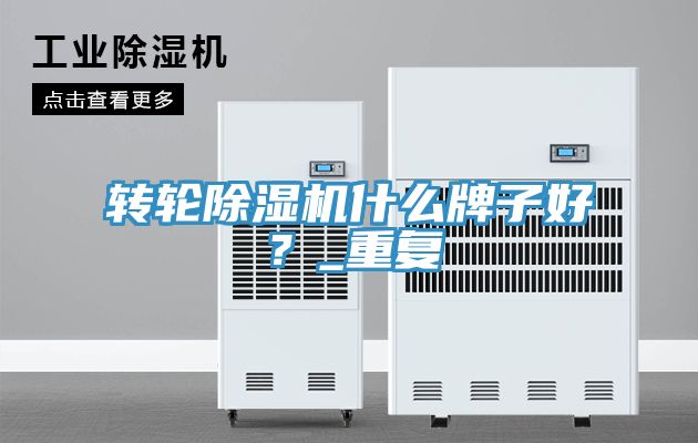 轉輪除濕機什么牌子好？_重復