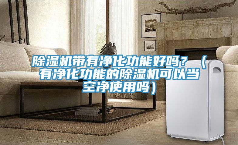 除濕機帶有凈化功能好嗎？（有凈化功能的除濕機可以當空凈使用嗎）