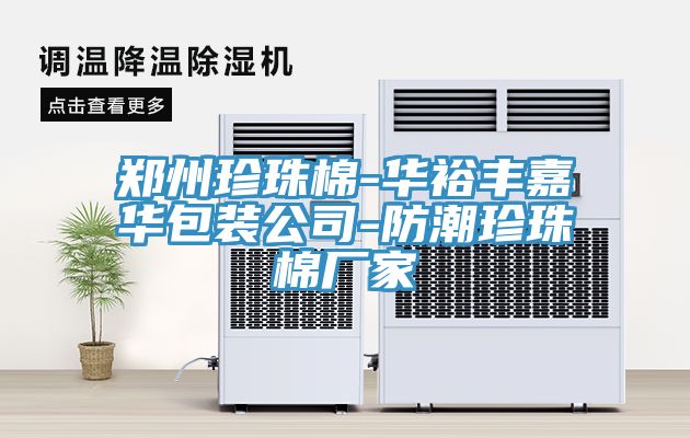 鄭州珍珠棉-華裕豐嘉華包裝公司-防潮珍珠棉廠(chǎng)家