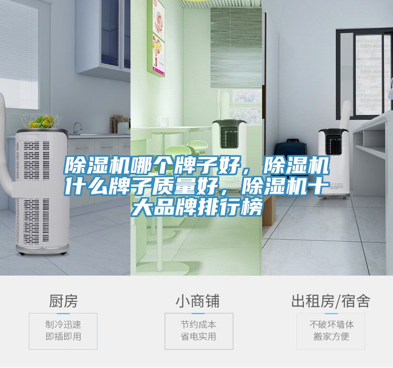 除濕機哪個(gè)牌子好，除濕機什么牌子質(zhì)量好，除濕機十大品牌排行榜
