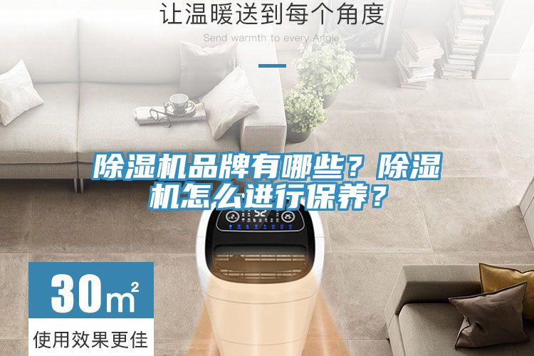 除濕機品牌有哪些？除濕機怎么進(jìn)行保養？