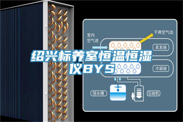 紹興標養室恒溫恒濕儀BYS