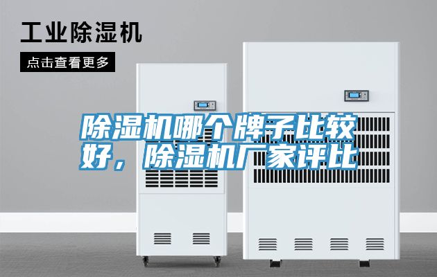 除濕機哪個(gè)牌子比較好，除濕機廠(chǎng)家評比