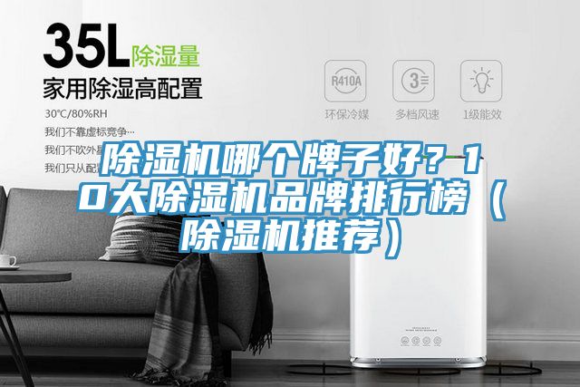 除濕機哪個(gè)牌子好？10大除濕機品牌排行榜（除濕機推薦）