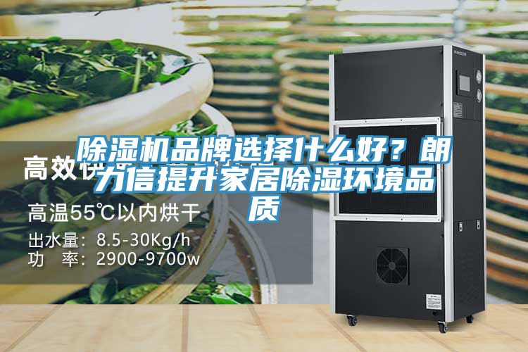 除濕機品牌選擇什么好？朗力信提升家居除濕環(huán)境品質(zhì)