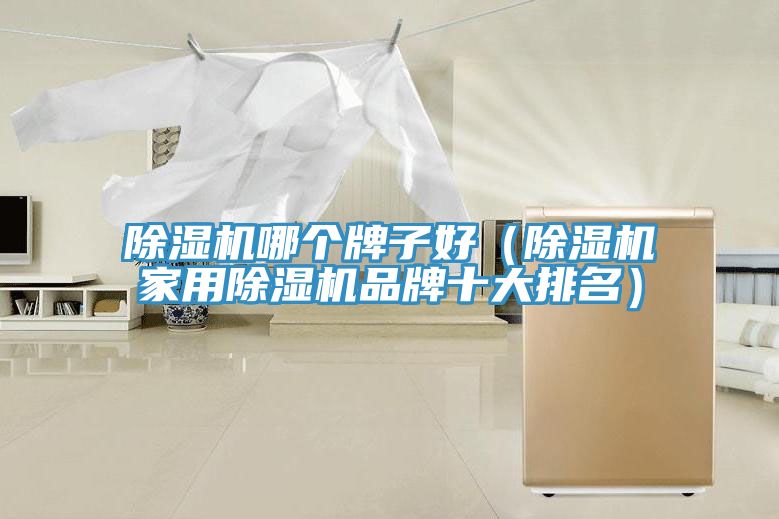 除濕機哪個(gè)牌子好（除濕機家用除濕機品牌十大排名）