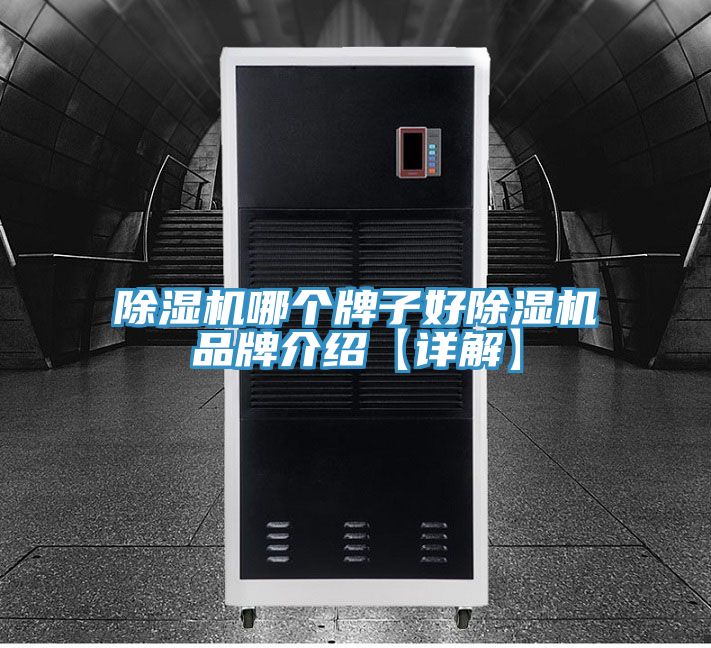 除濕機哪個(gè)牌子好除濕機品牌介紹【詳解】
