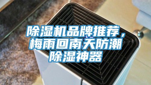 除濕機品牌推薦，梅雨回南天防潮除濕神器