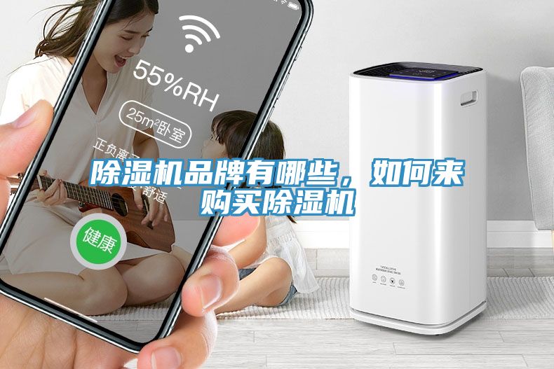 除濕機品牌有哪些，如何來(lái)購買(mǎi)除濕機