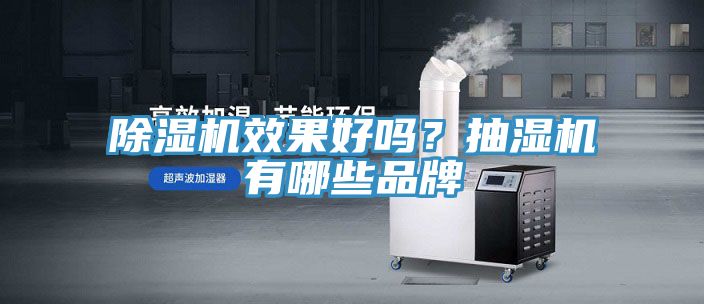 除濕機效果好嗎？抽濕機有哪些品牌