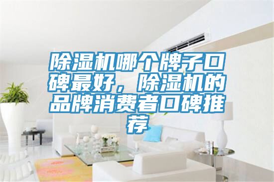 除濕機哪個(gè)牌子口碑最好，除濕機的品牌消費者口碑推薦