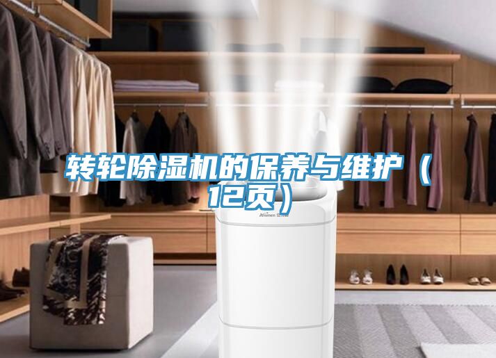 轉輪除濕機的保養與維護（12頁(yè)）