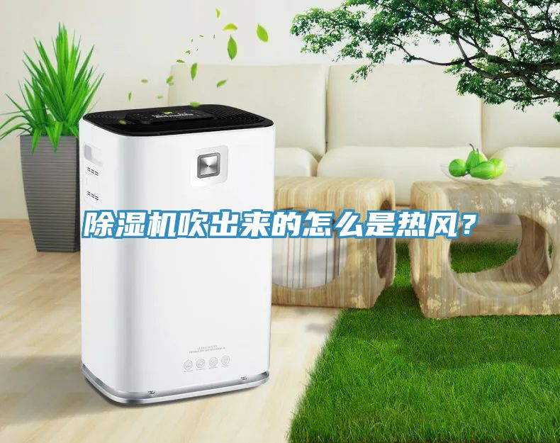 除濕機吹出來(lái)的怎么是熱風(fēng)？