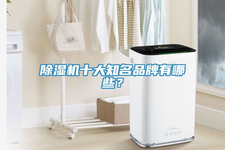 除濕機十大知名品牌有哪些？