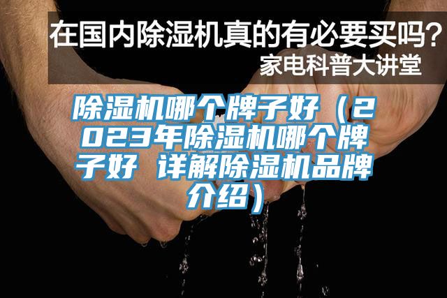 除濕機哪個(gè)牌子好（2023年除濕機哪個(gè)牌子好 詳解除濕機品牌介紹）