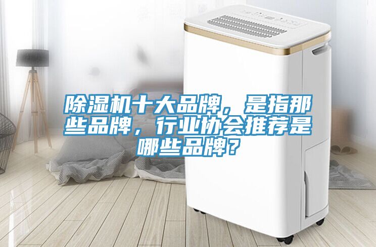 除濕機十大品牌，是指那些品牌，行業(yè)協(xié)會(huì )推薦是哪些品牌？