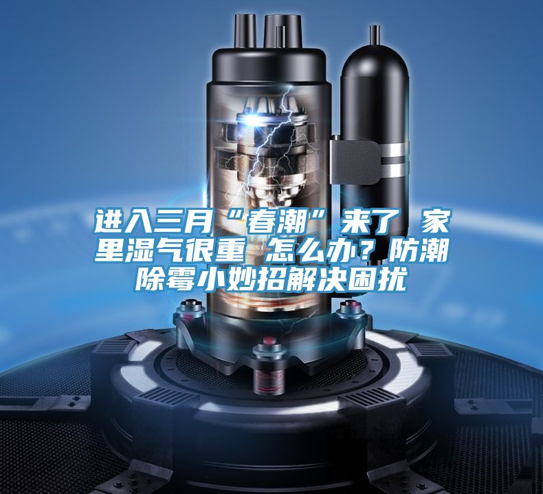進(jìn)入三月“春潮”來(lái)了 家里濕氣很重 怎么辦？防潮除霉小妙招解決困擾