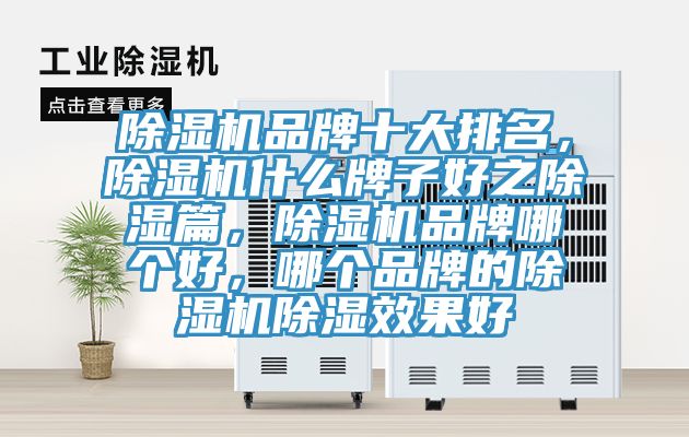 除濕機品牌十大排名，除濕機什么牌子好之除濕篇，除濕機品牌哪個(gè)好，哪個(gè)品牌的除濕機除濕效果好
