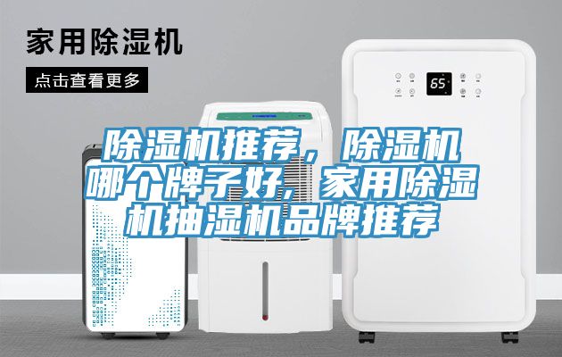 除濕機推薦，除濕機哪個(gè)牌子好, 家用除濕機抽濕機品牌推薦