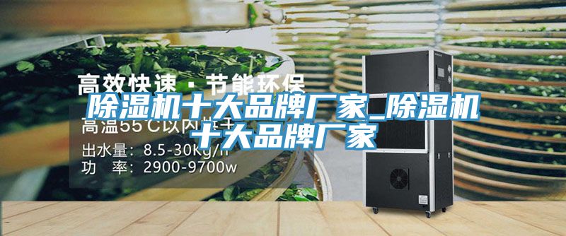 除濕機十大品牌廠(chǎng)家_除濕機十大品牌廠(chǎng)家