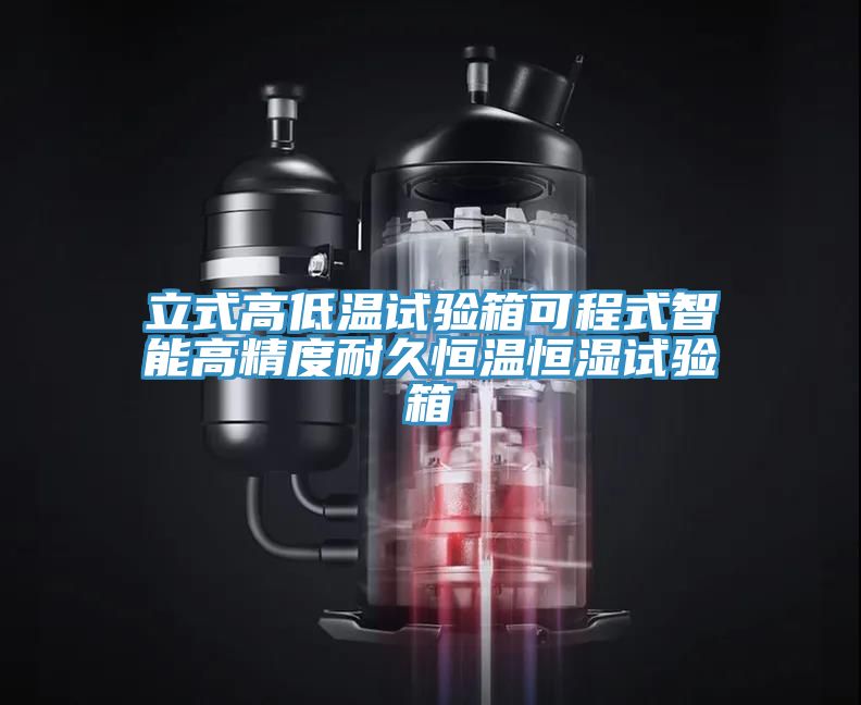 立式高低溫試驗箱可程式智能高精度耐久恒溫恒濕試驗箱