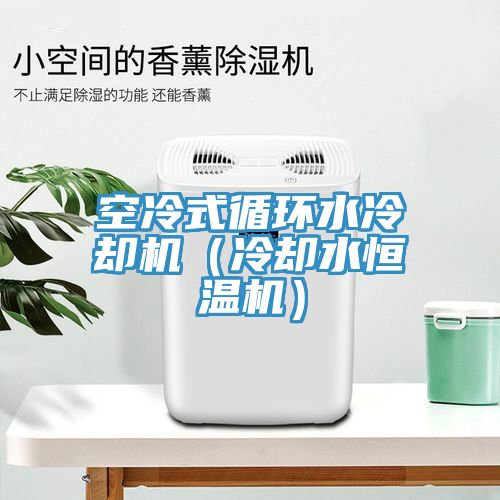 空冷式循環(huán)水冷卻機（冷卻水恒溫機）