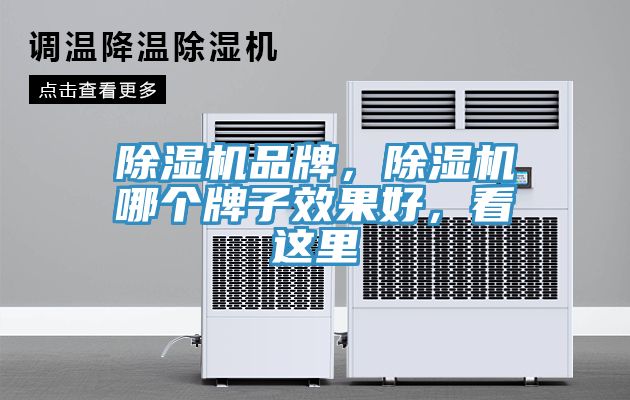 除濕機品牌，除濕機哪個(gè)牌子效果好，看這里