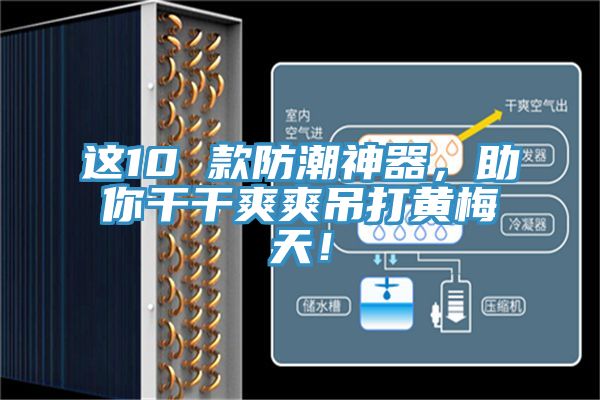 這10 款防潮神器，助你干干爽爽吊打黃梅天！