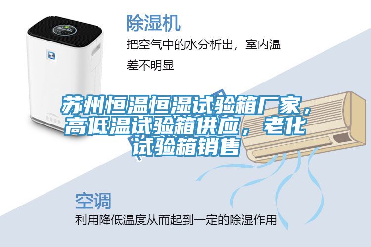 蘇州恒溫恒濕試驗箱廠(chǎng)家，高低溫試驗箱供應，老化試驗箱銷(xiāo)售