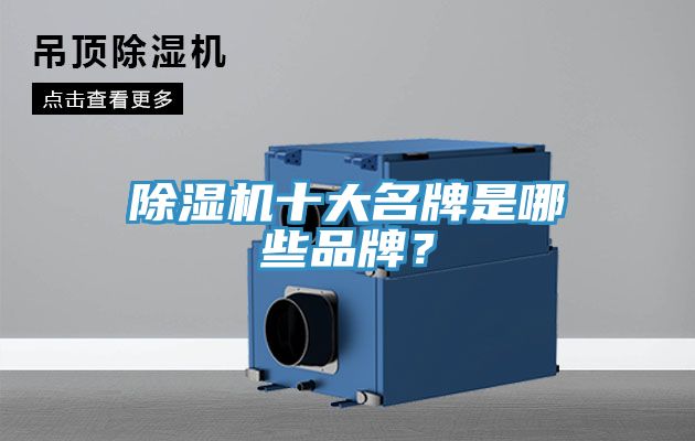 除濕機十大名牌是哪些品牌？