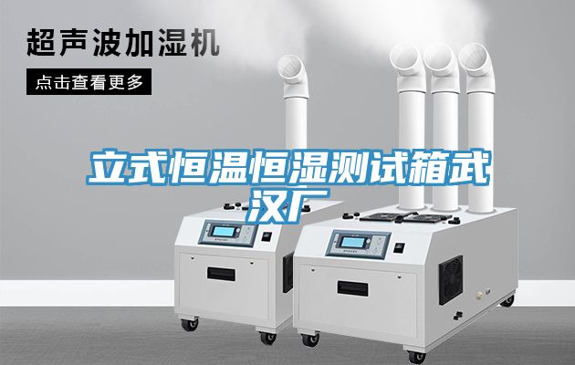 立式恒溫恒濕測試箱武漢廠(chǎng)