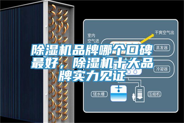 除濕機品牌哪個(gè)口碑最好，除濕機十大品牌實(shí)力見(jiàn)證