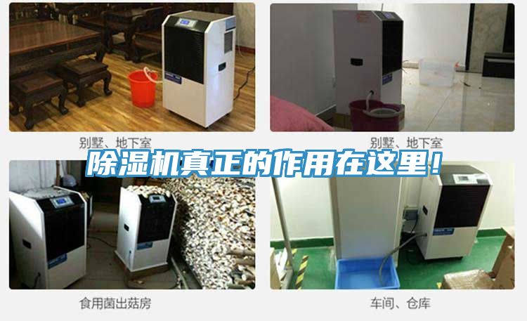 除濕機真正的作用在這里！