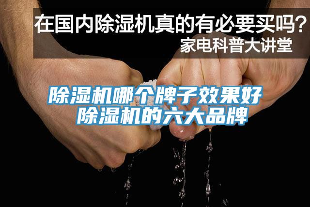 除濕機哪個(gè)牌子效果好 除濕機的六大品牌